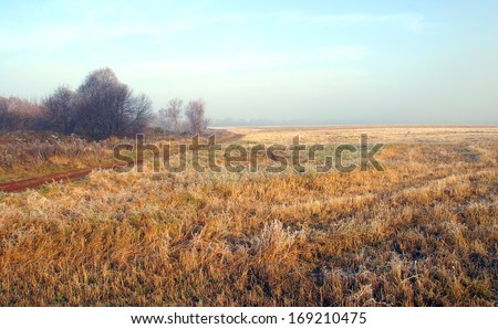 autumn landscape of dry grass in the meadow near the woods covered with frost cold foggy morning