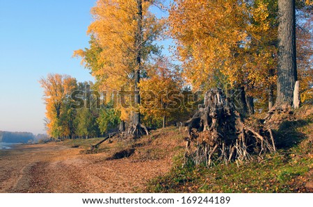 autumn landscape dirt road along the river bank near the forest
