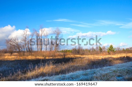 autumn landscape Indian summer in the oak grove blue sky and white clouds on a sunny day