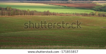 beautiful spring landscape of green fields and arable land and cloudy sky after the rain