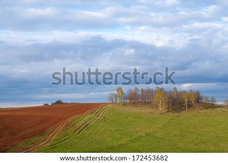 beautiful spring landscape of green fields and arable land and cloudy sky after the rain