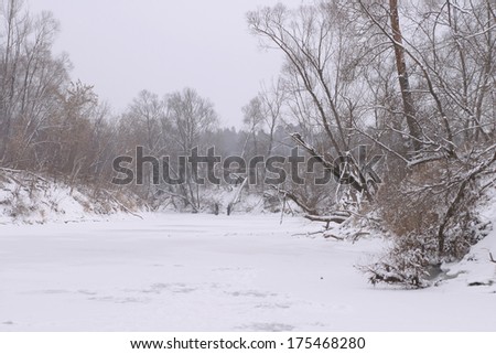 winter landscape of the river under the ice and trees in hoarfrost on the shore on a cloudy day