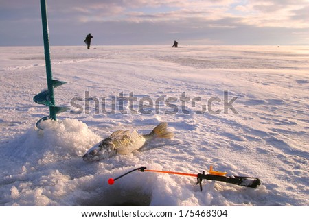 close-up boer, fishing rod and fish around the ice-hole on the winter river in a sunny day