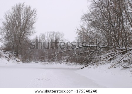 winter landscape of the river under the ice and trees in hoarfrost on the shore on a cloudy day