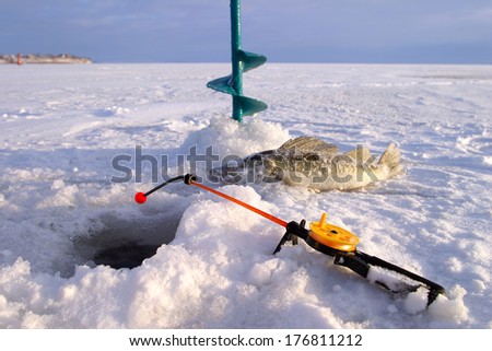 Close-Up Boer, Fishing Rod And Fish Around The Ice-Hole On The Winter River In A Sunny Day