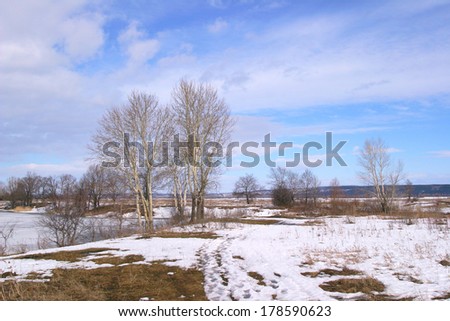 picturesque spring landscape with river ice melted bare trees and beautiful clouds in the blue sky