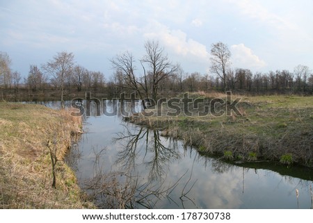 early spring landscape on small river reflection of bare trees in the water cloudy morning