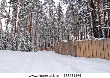 winter landscape with a pine forest and a wooden fence in snow and frost, on a cloudy, cold day.