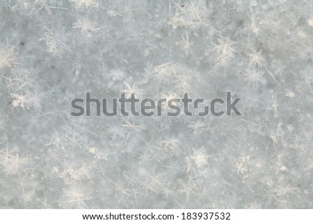 macro texture of snowflakes on the ice in natural lighting