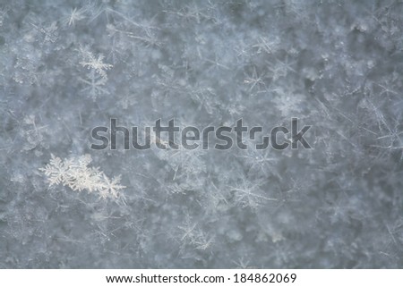macro texture of snowflakes on the ice in natural lighting