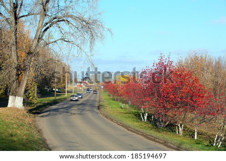 beautiful picturesque autumn cityscape, roads, homes and rowan alley along roads