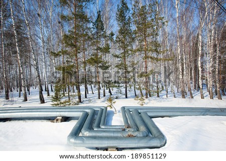 winter landscape of the curved pipeline in the snow near a forest