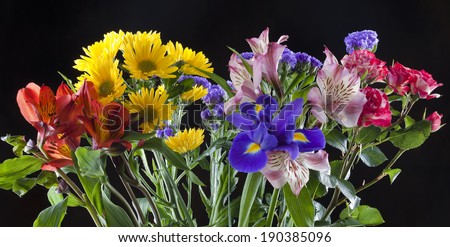 Macro beautiful colorful bouquet of flowers on a black background studio