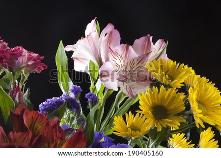 Macro beautiful colorful bouquet of flowers on a black background studio