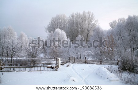 winter landscape of oaks and dry grass in the frost by the river at sunset