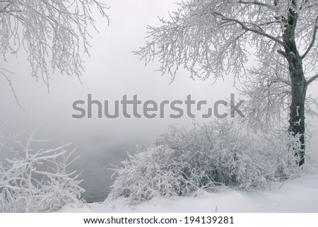Winter landscape of dense fog on the river ice and trees covered with frost on the shore