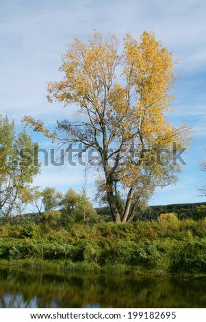 scenic landscape calm river yellowed trees and white clouds on blue sky