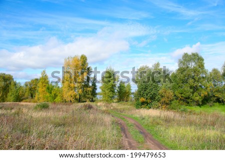 picturesque landscape of a dirt road in the meadows near the woods during the Indian summer