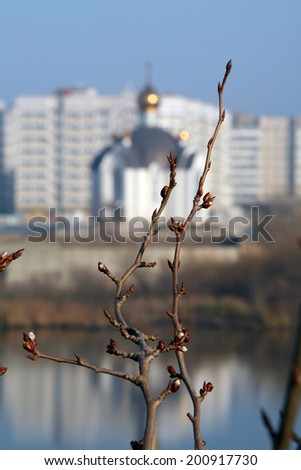 autumn landscape close-up tree branch on a background of the church and town homes on the horizon