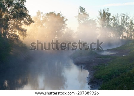 summer landscape of mist over the river in the early morning at sunrise and a trees  shore