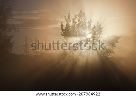 summer landscape bright rays of the rising sun through the trees early misty morning