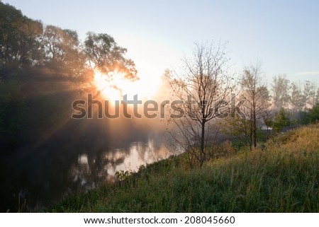 summer landscape bright rays of the rising sun through the trees early misty morning