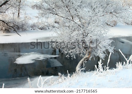 winter landscape of snow-covered fields, trees and river in the early misty morning
