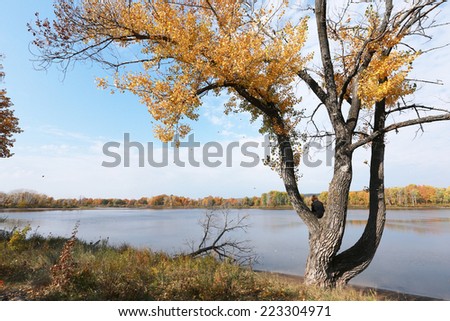 autumn landscape leaf fall of colorful trees near the river