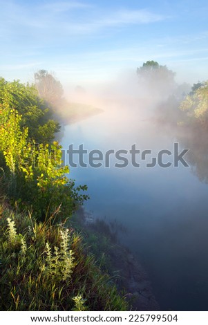 summer landscape dense fog in the oak grove near the river at dawn