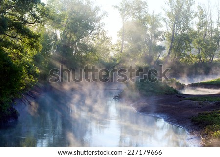 summer landscape dense fog in the oak grove near the river at dawn
