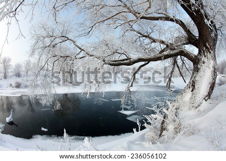 winter landscape of snow-covered fields, trees and river in the early misty morning