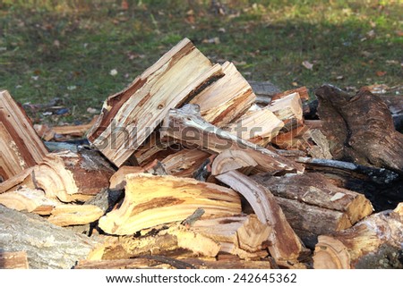 close-up of split logs in a pile on the river bank in autumn day