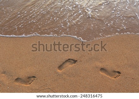 close-up of human footprints in the wet sand at the seaside