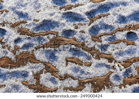 isolated close-up texture of the sand and frost on the river bank at the beginning of winter in a sunny day