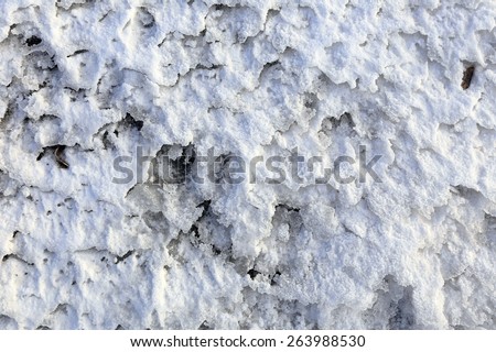 macro bizarre texture of snow and ice