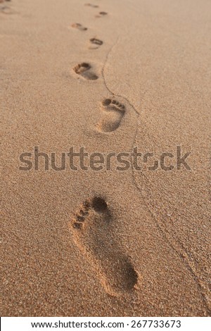 close-up of human footprints in the wet sand at the seaside