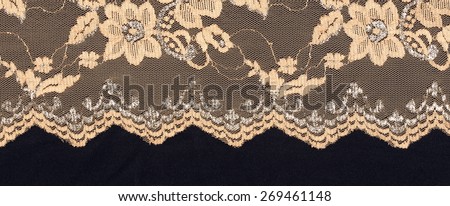 macro texture beige lace with embroidery studio