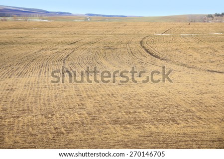 isolated arable land after the melting snow in early spring
