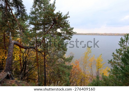 autumn landscape walk in a mixed forest on a cloudy day
