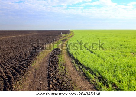 spring landscape a dirt road in a field a leading beyond the horizon