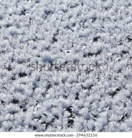 macro isolated texture of snow in the sunshine