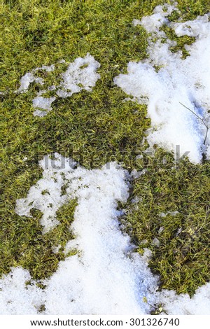 macro bizarre texture of ice and snow