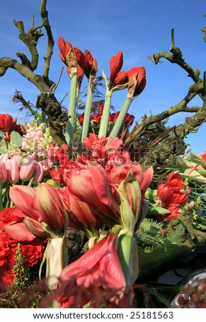 Flowers composition, famous flower parade called Bloemencorso in Netherlands. Day of Spring.