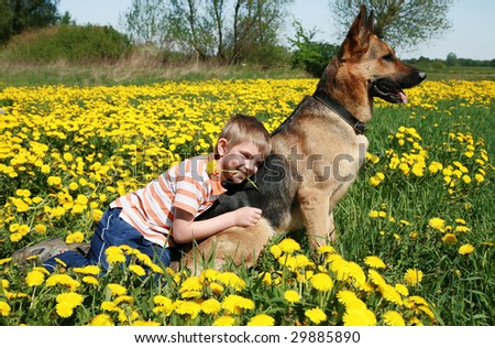 Little blonde boy playing with his large Alsatian dog on the wild meadow all in yellow dandelions during sunny day.