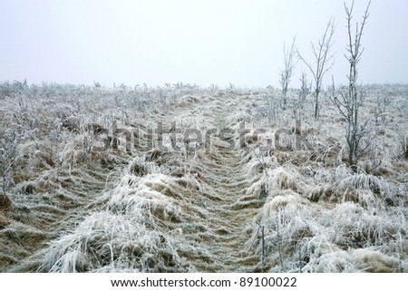 Frosted dirt road in misty haze in a gloomy winter day. Pasterka village in Poland. Beginning of winter.