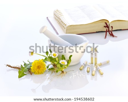 white mortar and glass tubes daisy dandelion root directory book