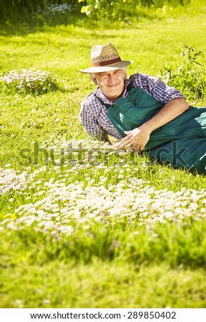GÃ?Â¤rtner lies with a straw hat in meadow and flower in mouth