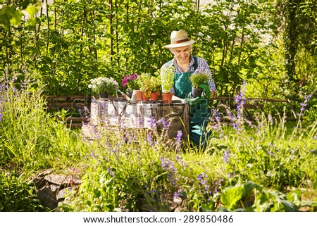 Gardener with straw hat and plants in the garden with sun
