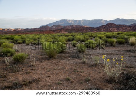Southern Utah desert landscape red rock sunrise