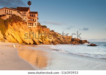 House on cliffs with playing dogs Luxurious house on cliffs in Southern California beach with playing dogs on the beach at sunset